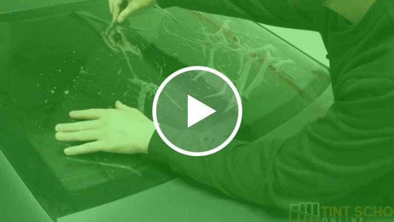 advanced window tinting courses (2)