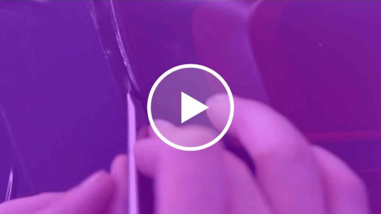 headlight and taillight tint course (9)